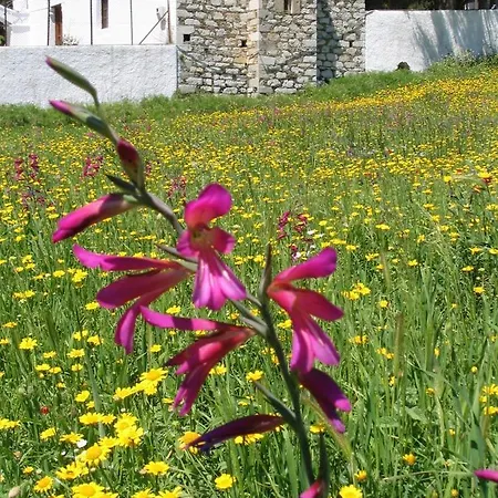 Elea,suberb Seaview,nearby Beach And Town.